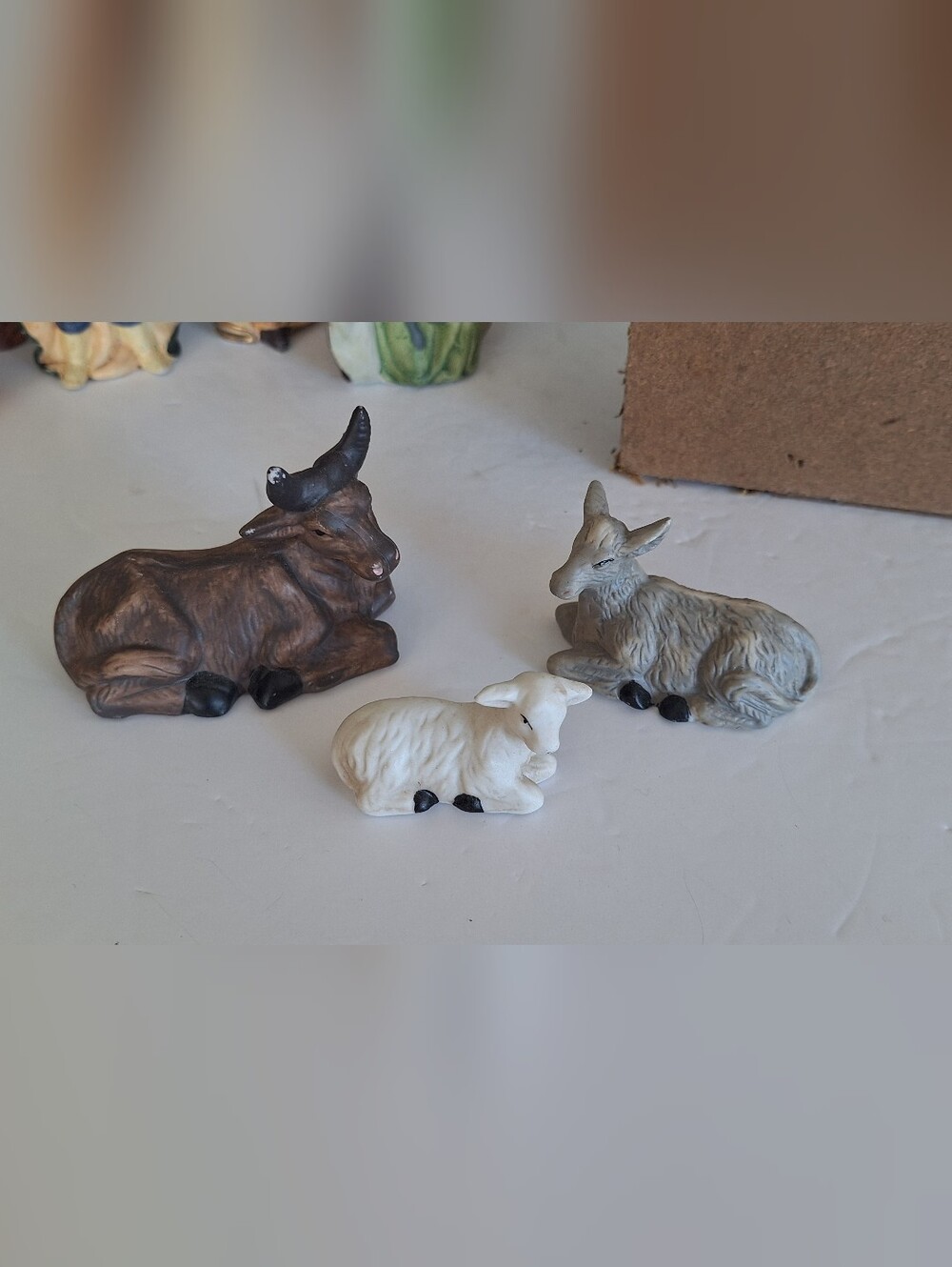 Nativity Scene - Picture 17 of 17